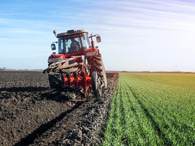Lee más sobre el artículo 5 motivos para emprender en agricultura