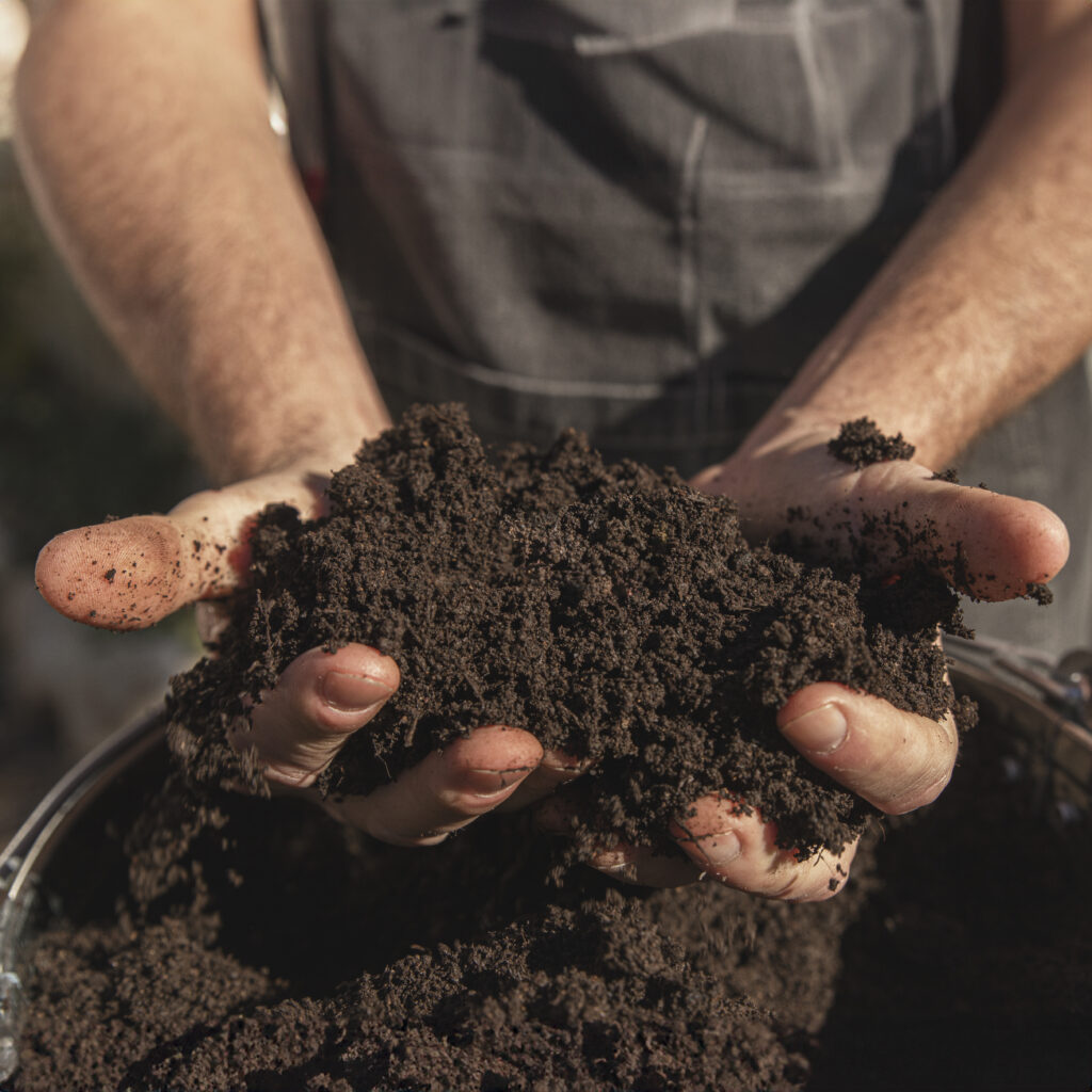organické hnojivo na červy pro domácí zahradu - Crickwoo