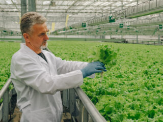 Agricultura Ecológica: Enfoques y Conceptos Clave en la Mejora de la Sostenibilidad Agrícola con Humus de Lombriz