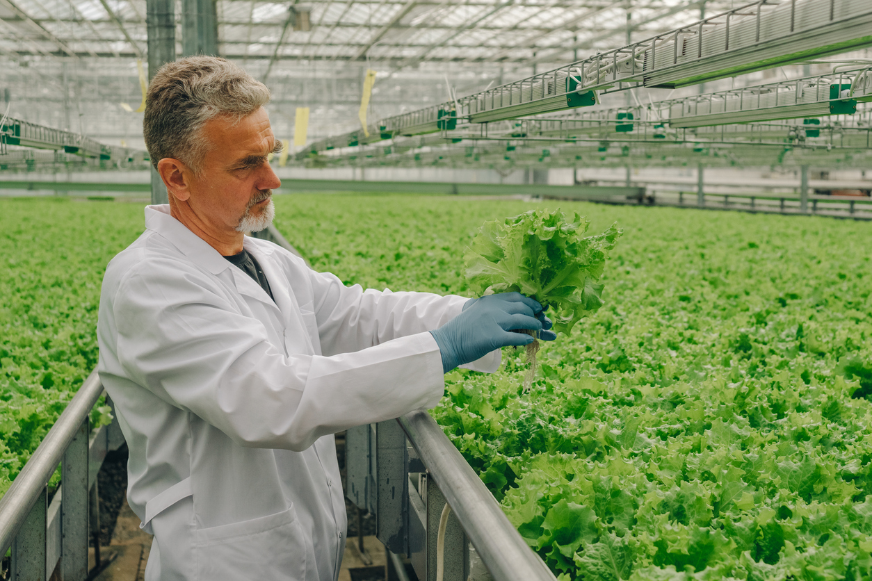 Agricultura Ecológica: Enfoques y Conceptos Clave en la Mejora de la Sostenibilidad Agrícola con Humus de Lombriz