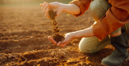 Cómo Optimizar el Uso del Humus de Lombriz en Diferentes Tipos de Suelo: Guía Práctica para Agricultores Ecológicos