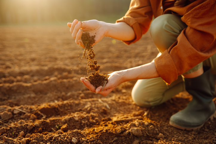 Cómo Optimizar el Uso del Humus de Lombriz en Diferentes Tipos de Suelo: Guía Práctica para Agricultores Ecológicos